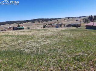 149 Will Scarlet Dr, Divide, CO 80814