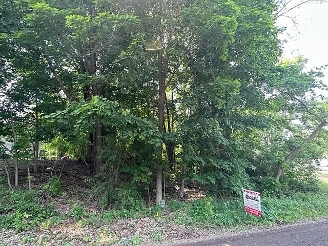 Burt Ave photo 1