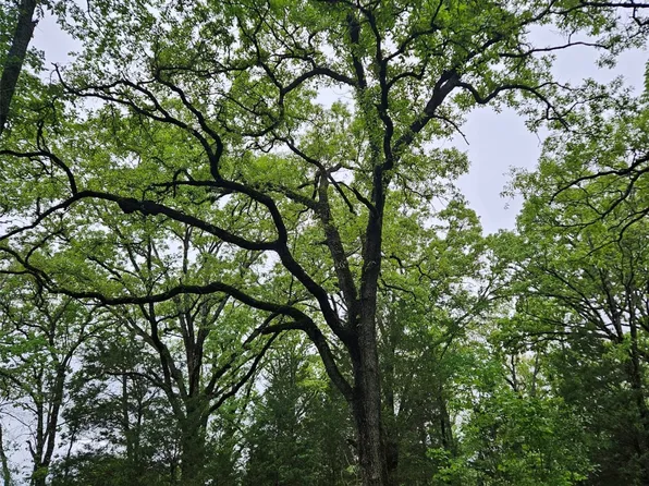 1 Private Rd #5401, Malakoff, TX 75148