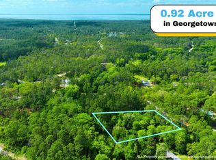 102 HYACINTH Court, Georgetown, FL 32139