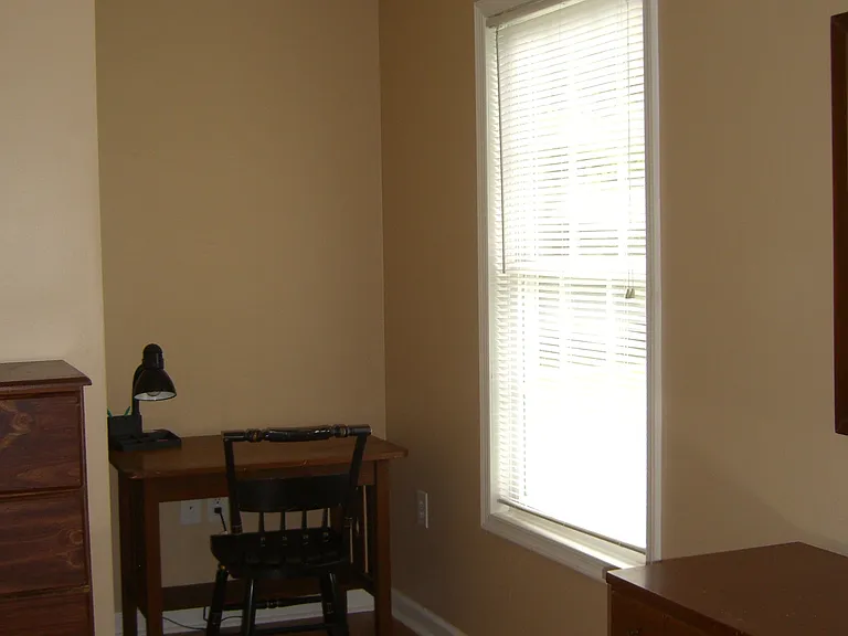 115 Old Buena Vista Rd — Photo 4