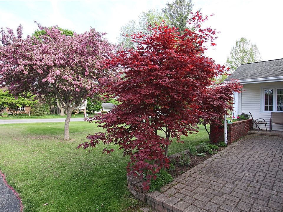 25 Archer Rd, Rochester, NY 14624 Zillow