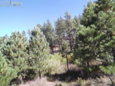3037 County Road 33 Rd, Florissant, CO, 80816