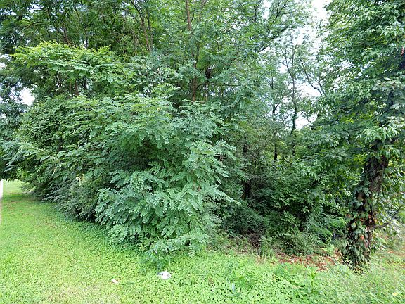 5th image of 1608 Capanna Trail