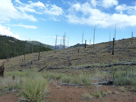 4th image of 00 Ouray Rd