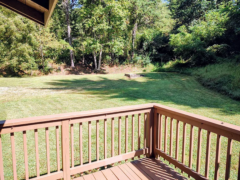 163 Reeves Cove Rd — Photo 3