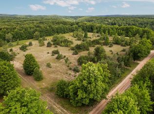 150 N Weldon Rd, Beulah, MI 49617