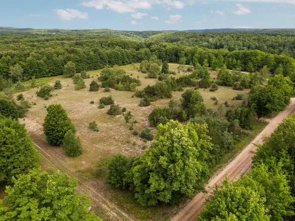 150 N Weldon Rd, Beulah, MI 49617