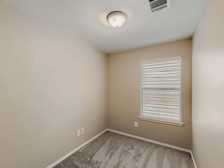 11 Wineberry Pl — Photo 15
