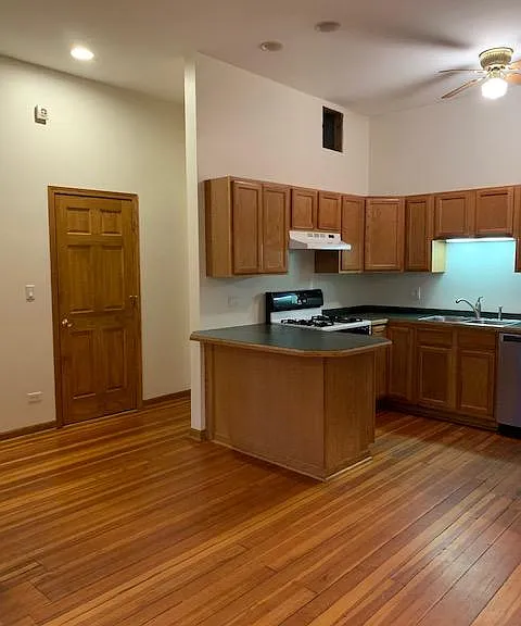919 W Armitage Ave #2F — Photo 8