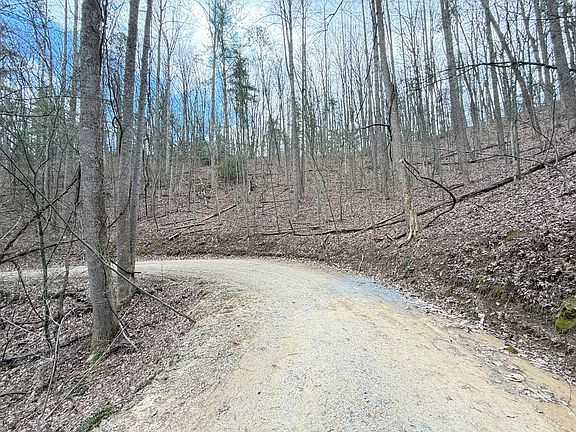 5th image of 4.1 Reece Hollow Rd