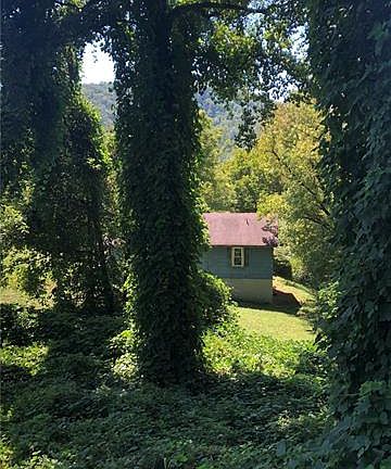 5th image of 105 Georgia Ave