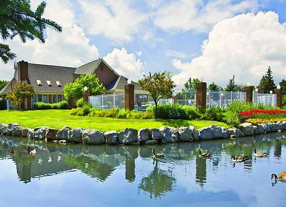 Tranquil Pond
