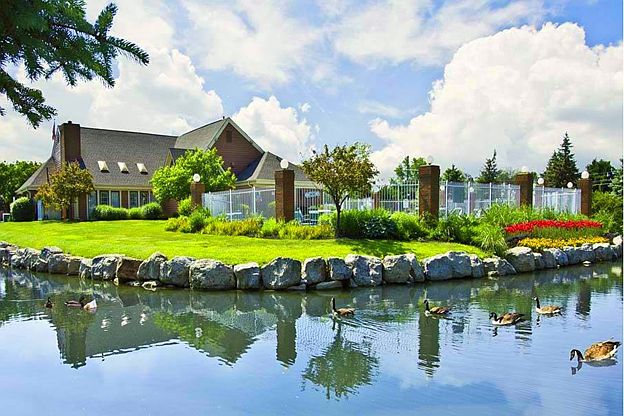 Tranquil Pond
