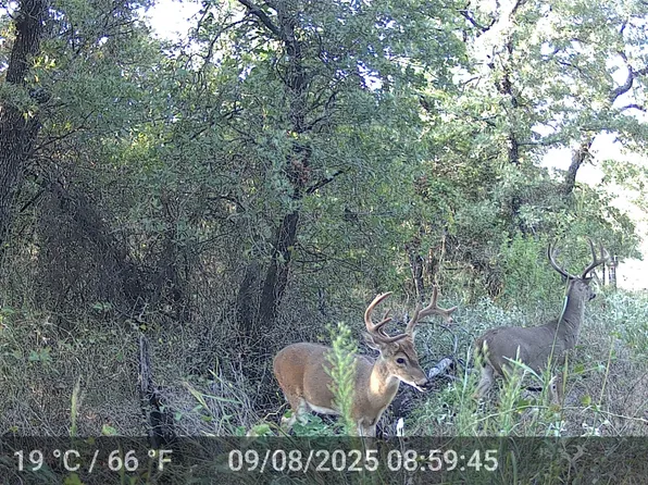 524 County Road 1792, Sunset, TX 76270