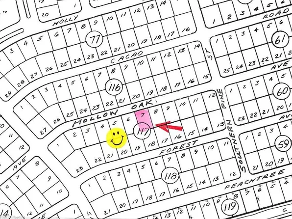 Hollow Oak Ave, Lake Placid, FL 33852