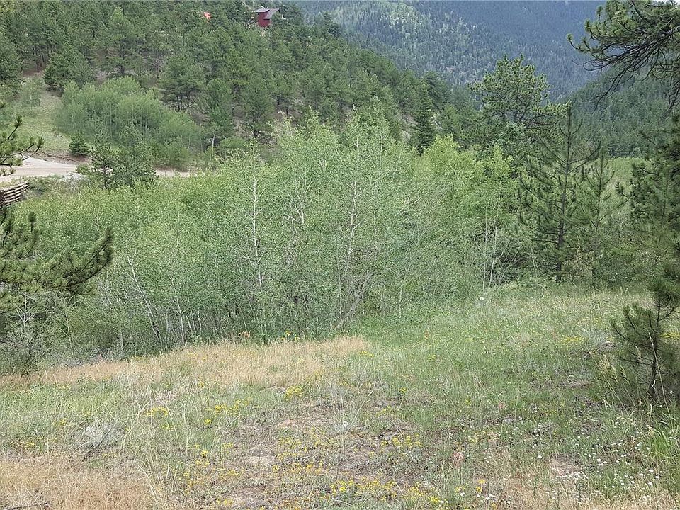 000 Eureka Lot 35 Street Lot 35, Central City, CO 80427 Zillow
