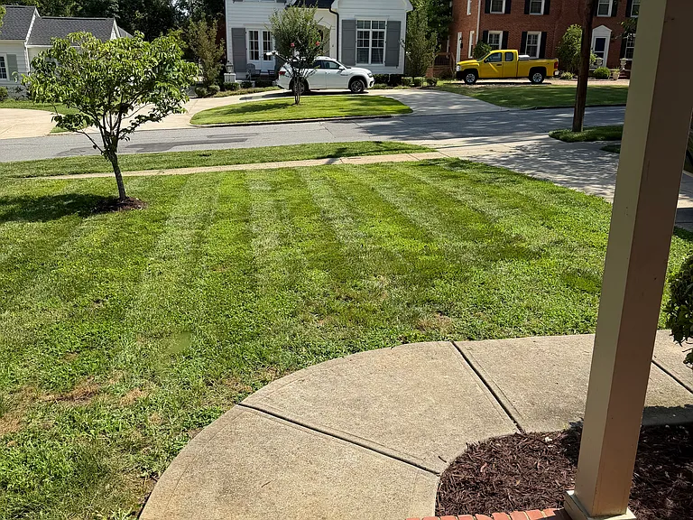 Tranquil Ave — Photo 3