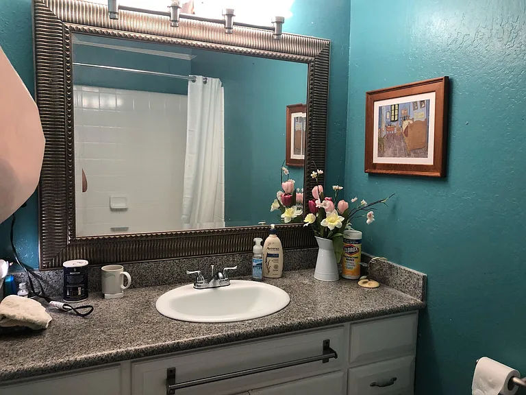 Portofino Dr — Photo 2