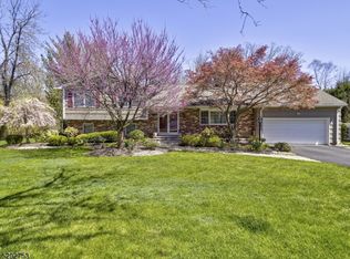 14 Rennes St, Pine Brook, NJ 07058