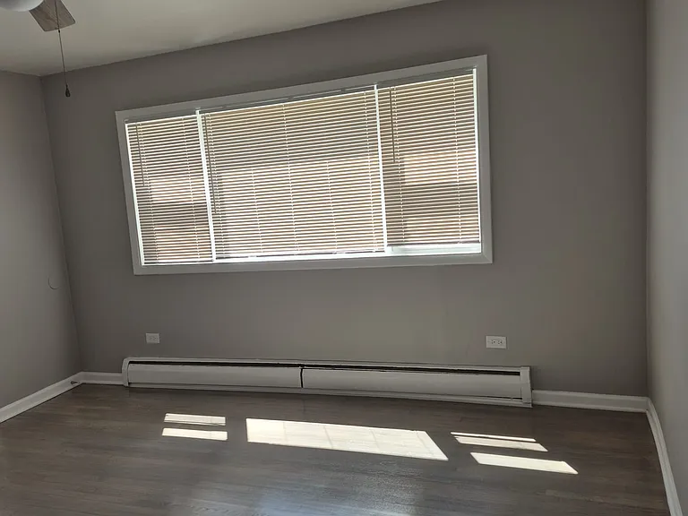 960 E 85th St #1N — Photo 3