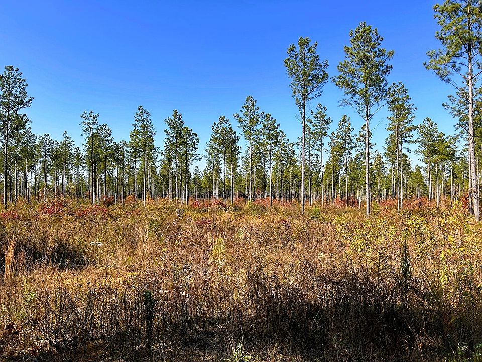 1st image of TRACT 12 Hughes Lake Rd SE