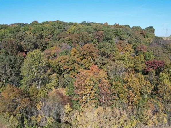 1318 Pond Rd, Glencoe, MO 63038