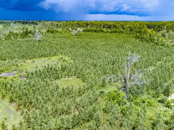 Xx1 North Rd, Cottondale, FL 32431