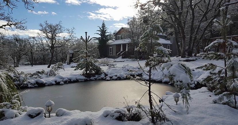 2nd image of 16425 Jones Rd