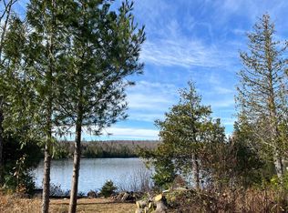 8915 Cramer Rd, Finland, MN 55603