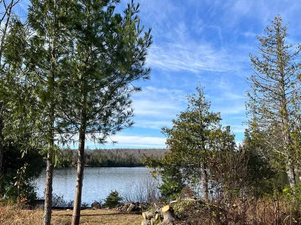 8915 Cramer Rd, Finland, MN 55603