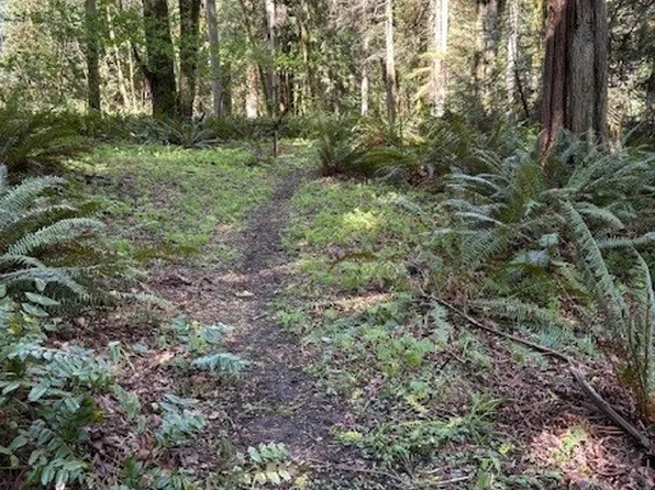 0 Agate Pass Road LOT B, Bainbridge Island, WA 98110