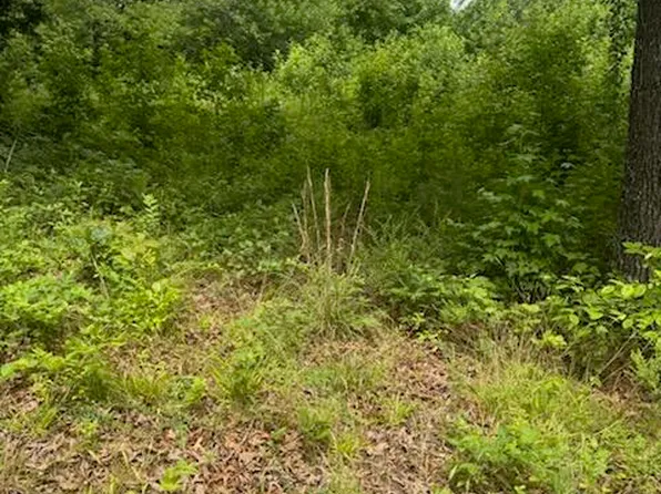 0 Stewart Rd, Ringgold, GA 30736