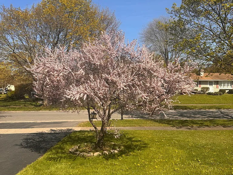 47 Virginia Manor Rd — Photo 25