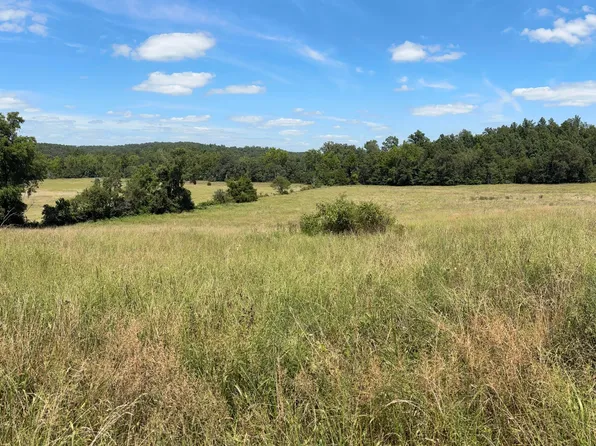 3922 County Road 534, Ellington, MO 63638