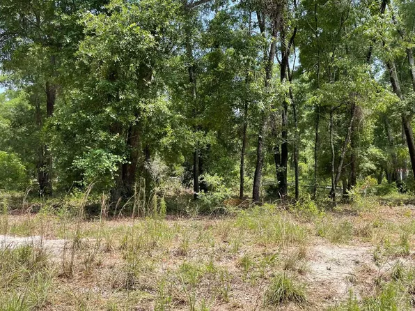 0 135th Ln, O'Brien, FL 32071