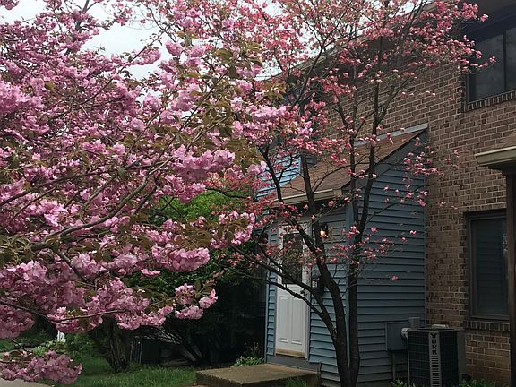 Entrance to unit facing the park.
