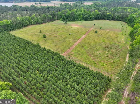 0 Mount Carmel Rd, Senoia, GA 30276