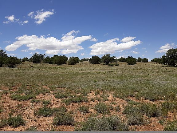 4th image of 81 Juniper Woods