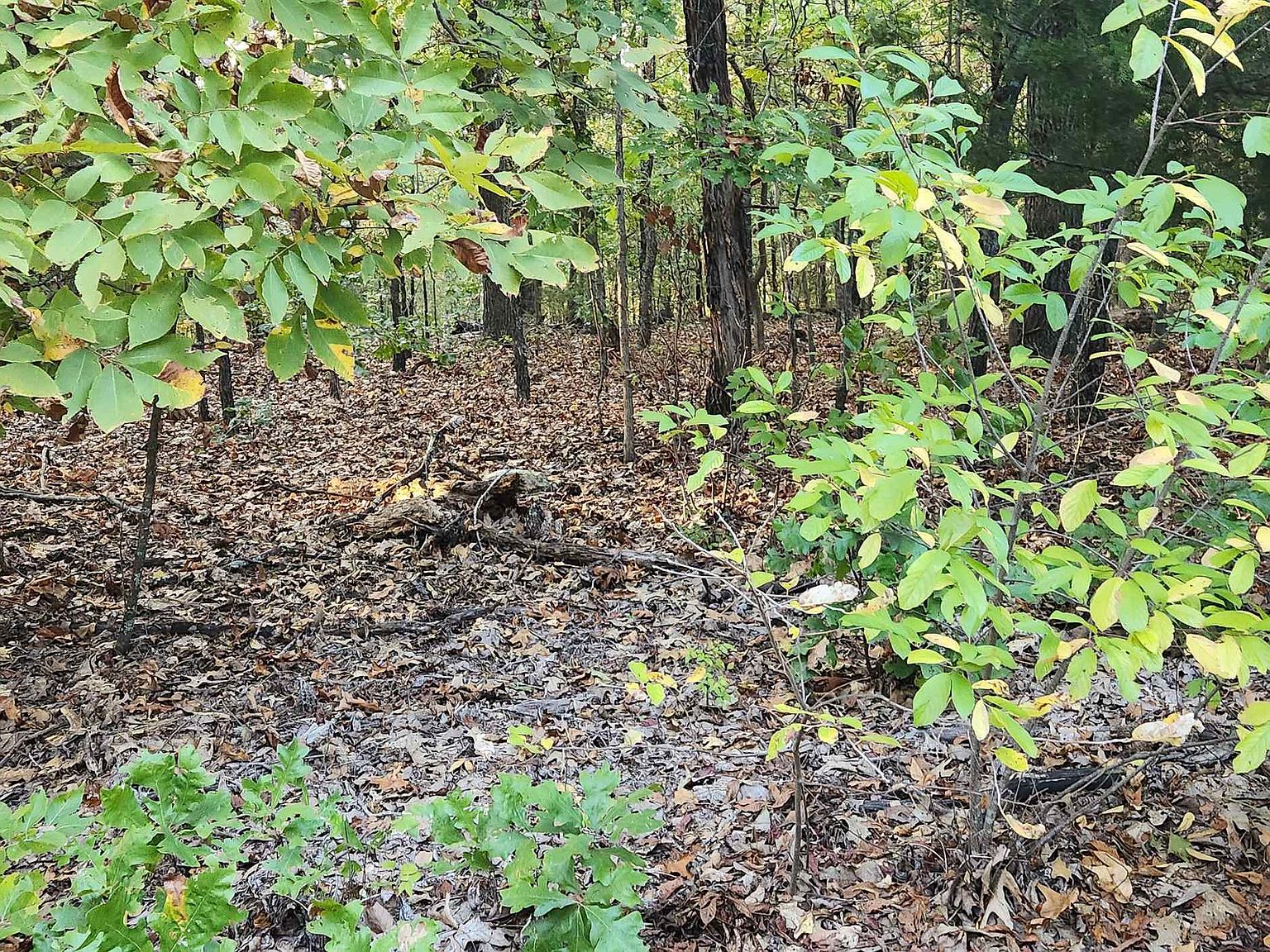 9 Konawa Dr, Cherokee Village, AR 72529 MLS 23033129 Zillow
