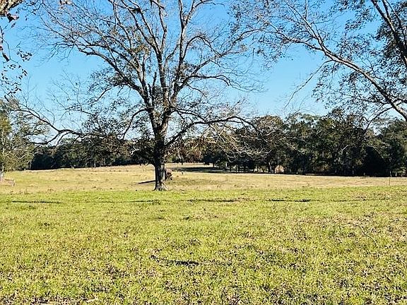 4th image of 18760 Leon Wiggins Rd