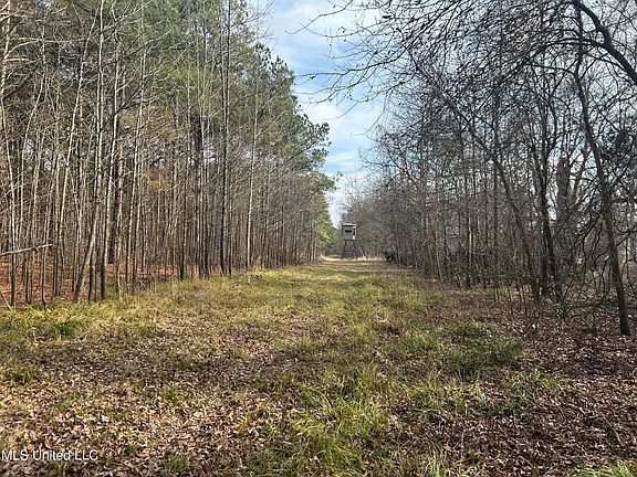 2nd image of Highway 278