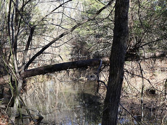 5th image of Russell Hollow Cir