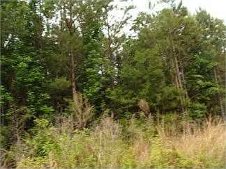 1st image of Smylie Rd