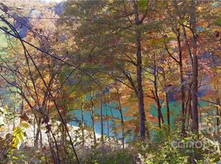 249 Fontana Lakeside Dr, Robbinsville, NC 28771