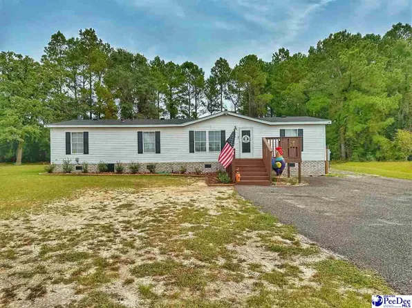 1074 Pee Dee Church Rd, Dillon, SC 29536