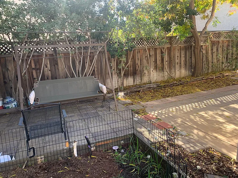 Backyard garden