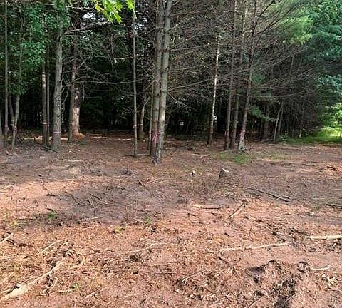 5th image of Lot 4 9 3/4 Avenue