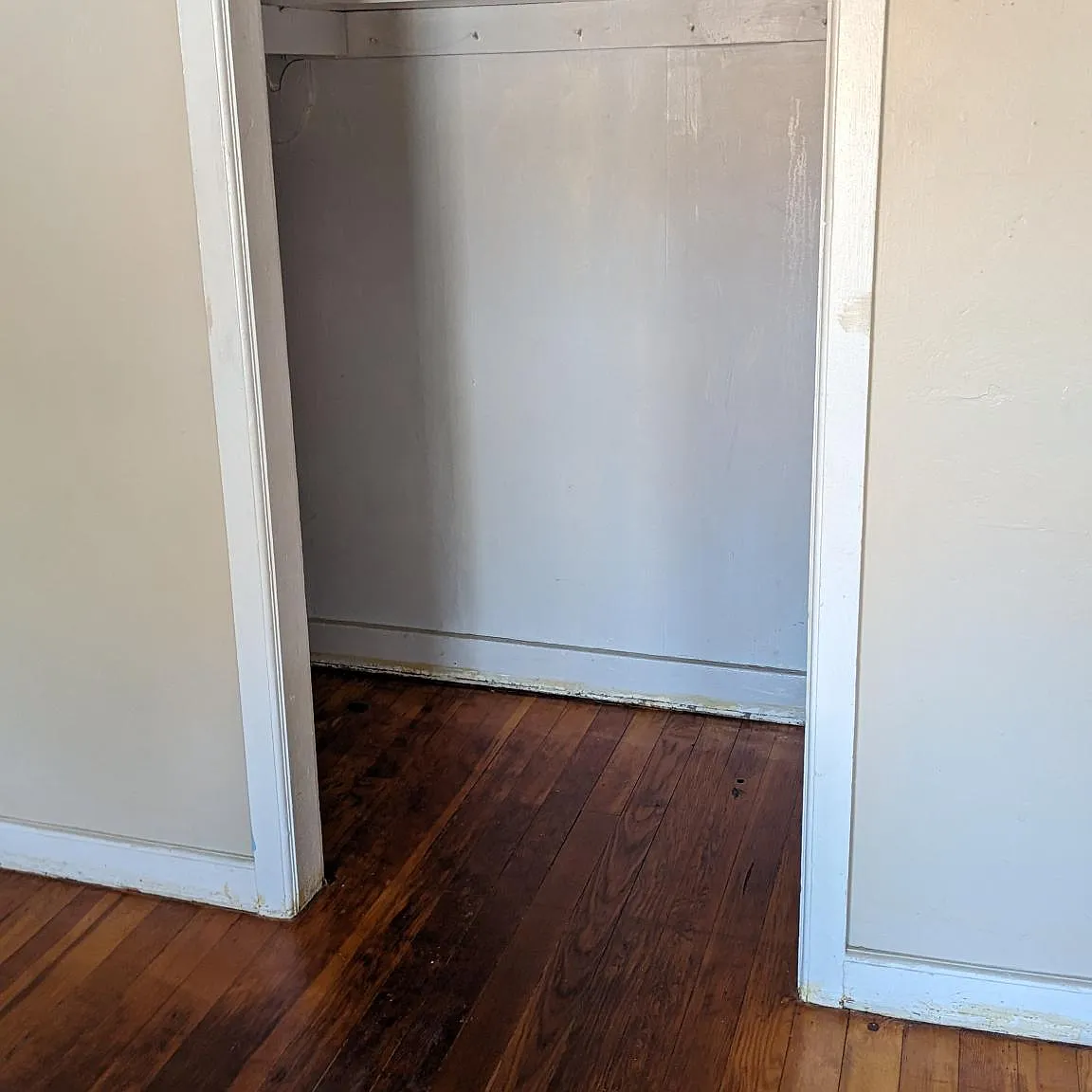 1 bed, 600 sqft, $980 — Photo 2