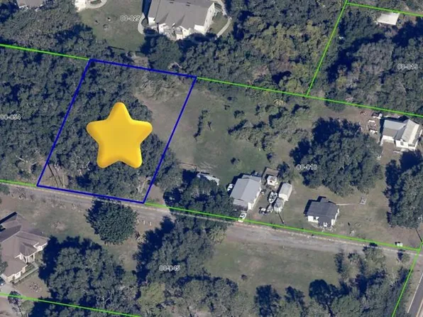 Avalon Rd Lot 41, Winter Garden, FL 34787